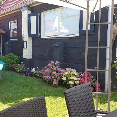 Holiday In T Zand Close To The Dutch Coast Holiday home 't Zand
