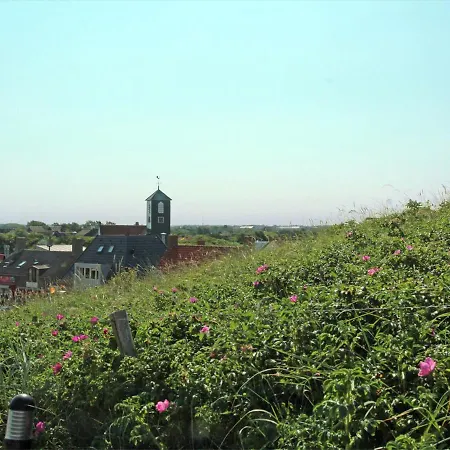 Holiday home Holiday In T Zand Close To The Dutch Coast *