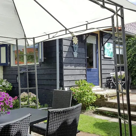Holiday In T Zand Close To The Dutch Coast Holiday home 't Zand